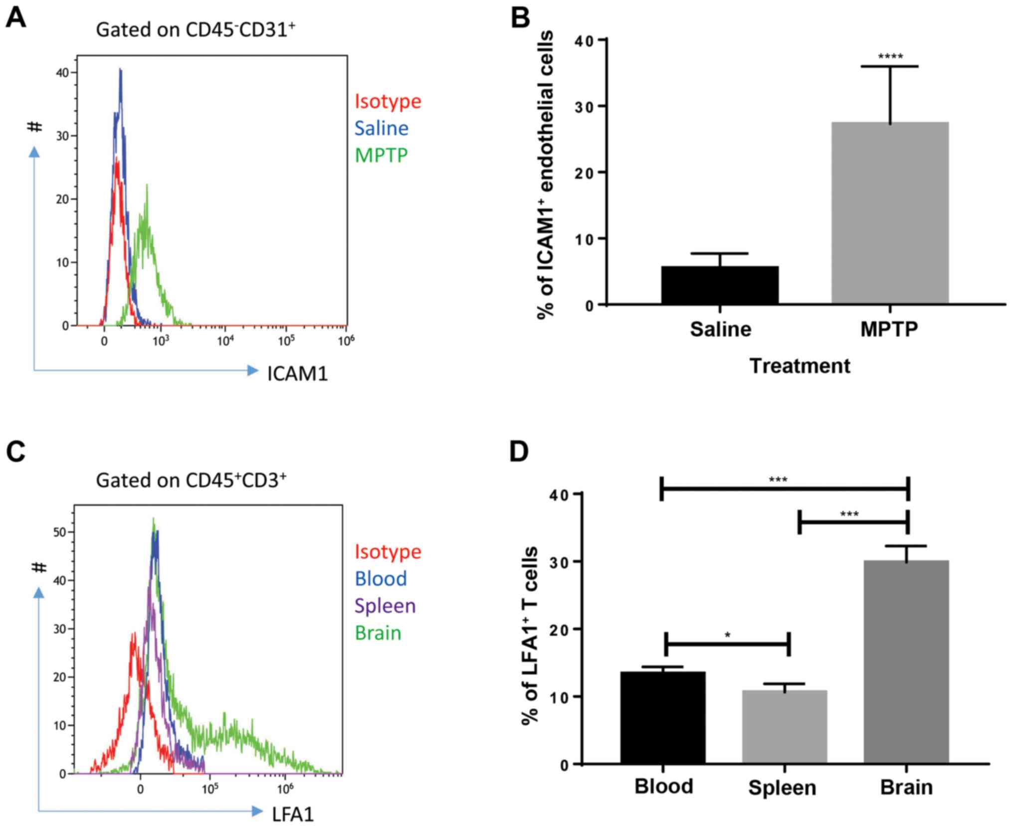 Interaction Between Icam In Endothelial Cells And Lfa In T Cells