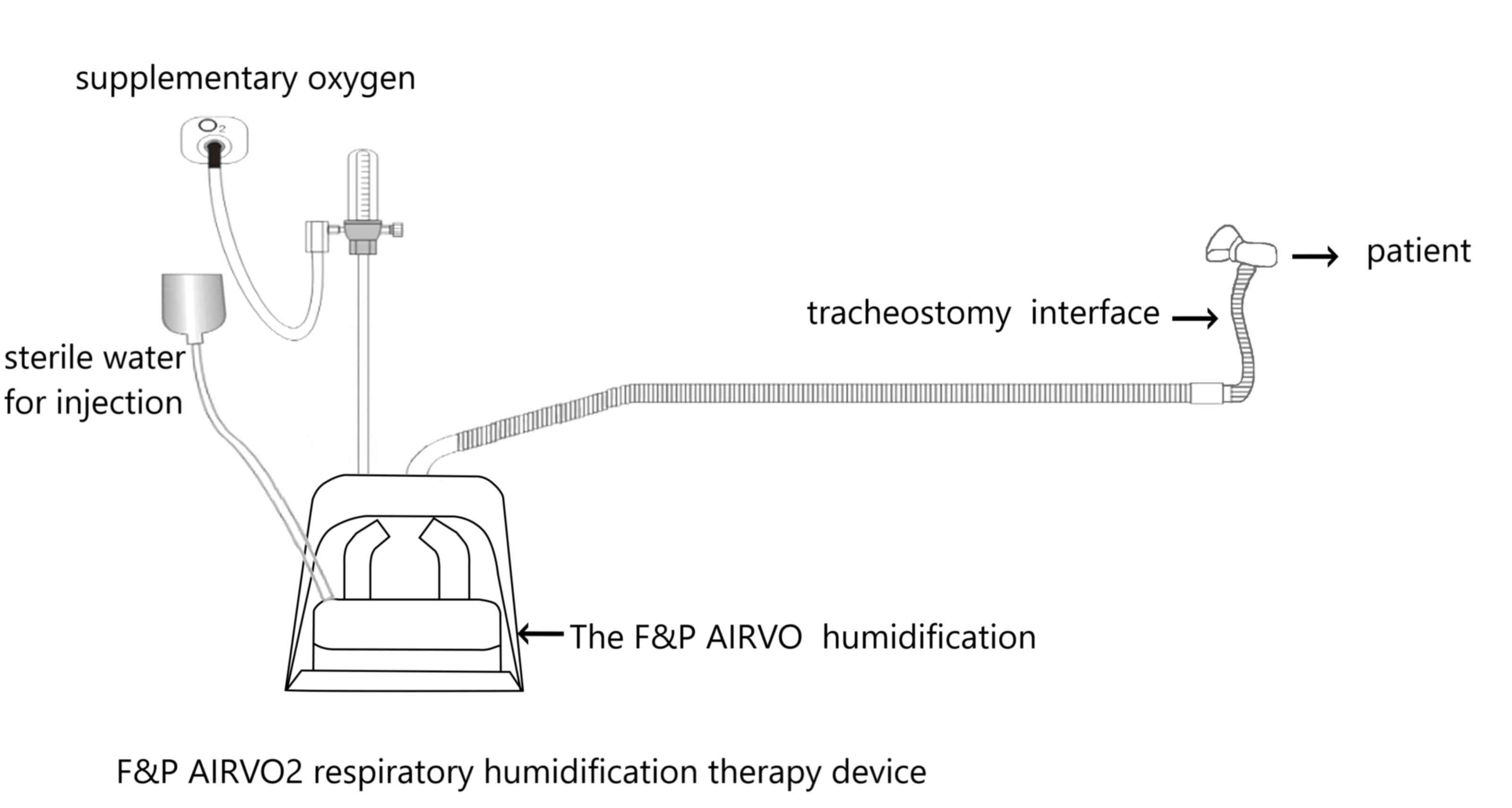 High-flow Oxygen Therapy And Other Inhaled Therapies In Intensive Care ...