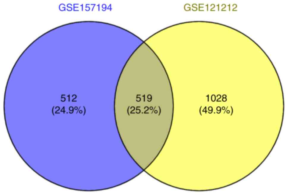 Identification of potential miR‑155 target genes in epidermal immune ...