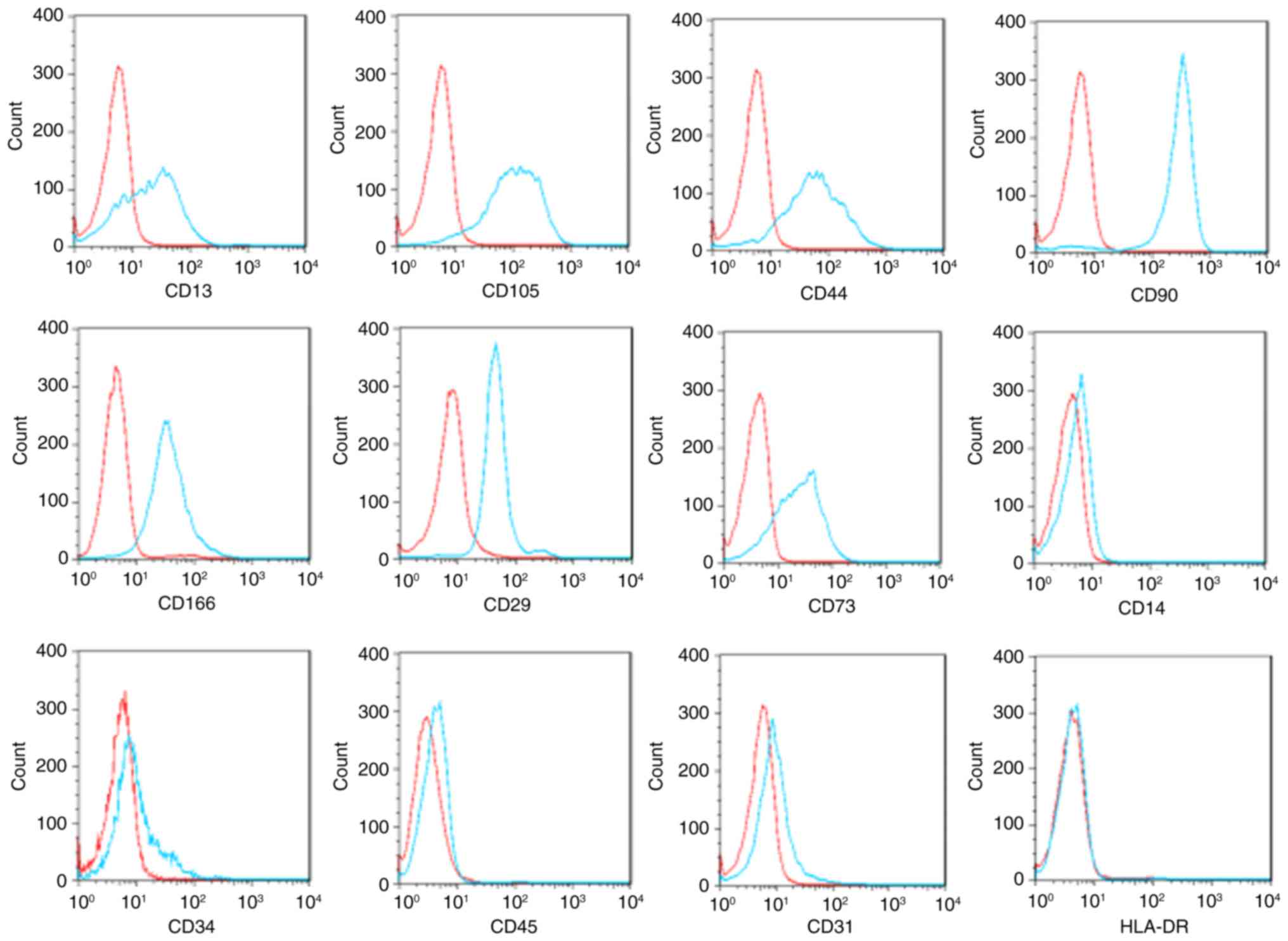 Microrna‑155 Targets Myosin Light Chain Kinase To Inhibit The Migration 