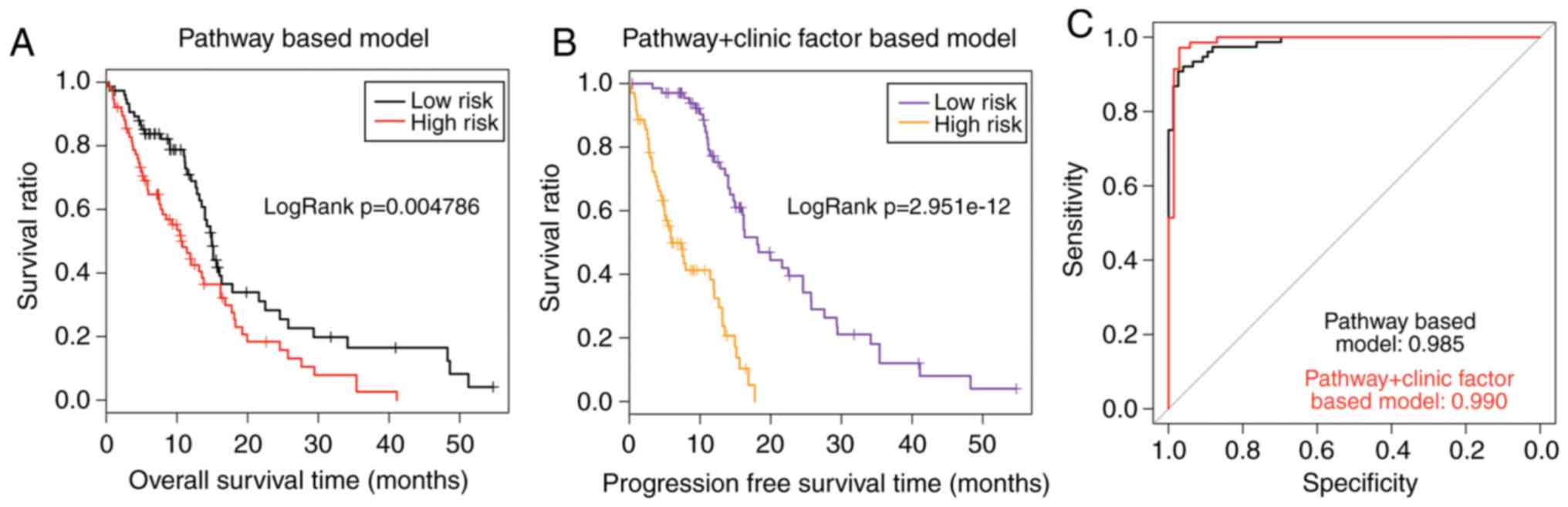 Frontiers  Comprehensive Analysis of the Prognosis and