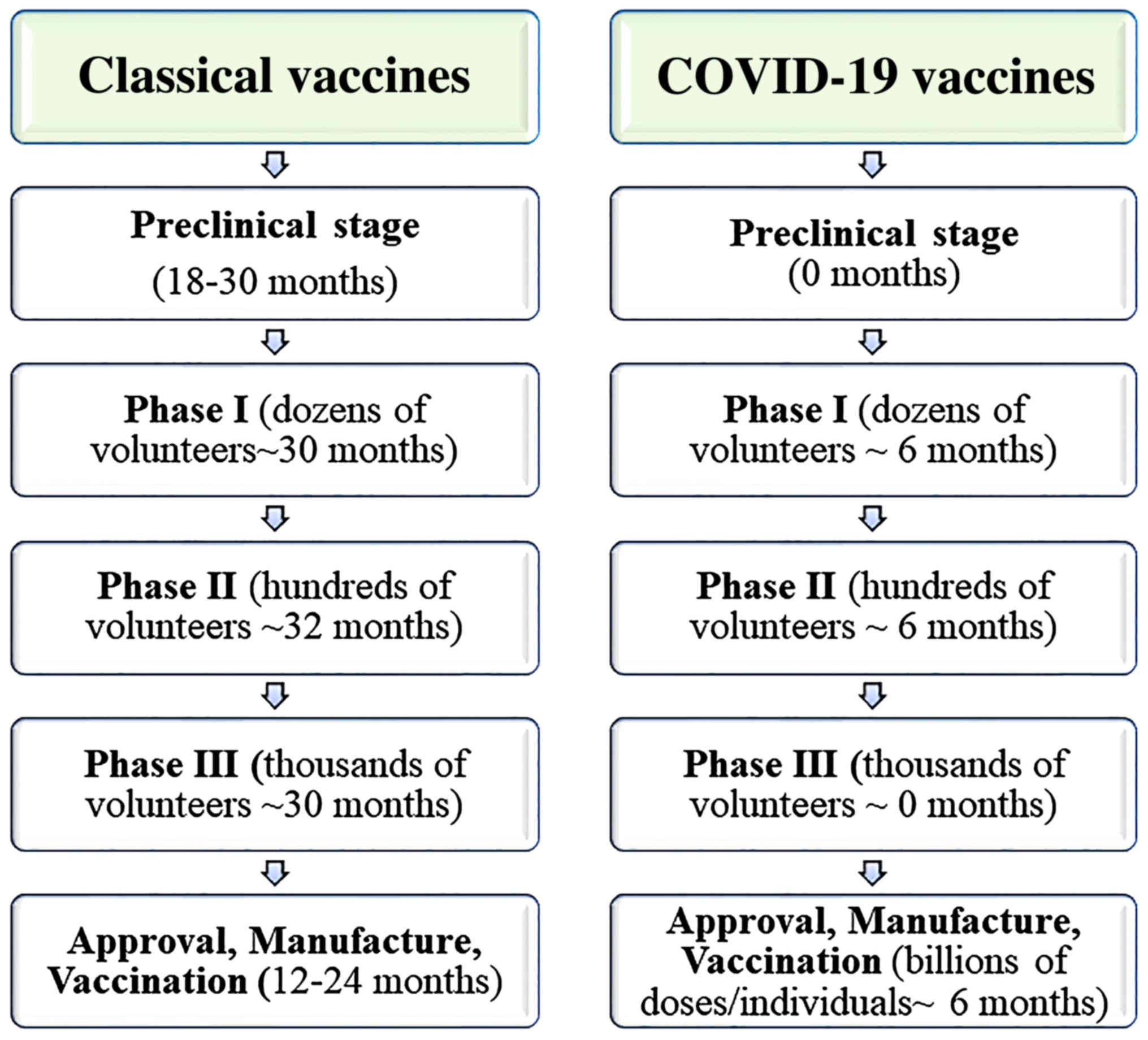 Towards Effective Covid 19 Vaccines Updates Perspectives And Challenges Review