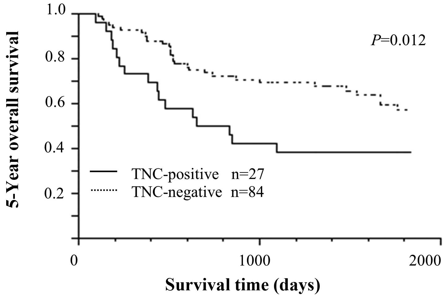Concurrent Expression Of C4 4a And Tenascin C In Tumor Cells Relates To Poor Prognosis Of