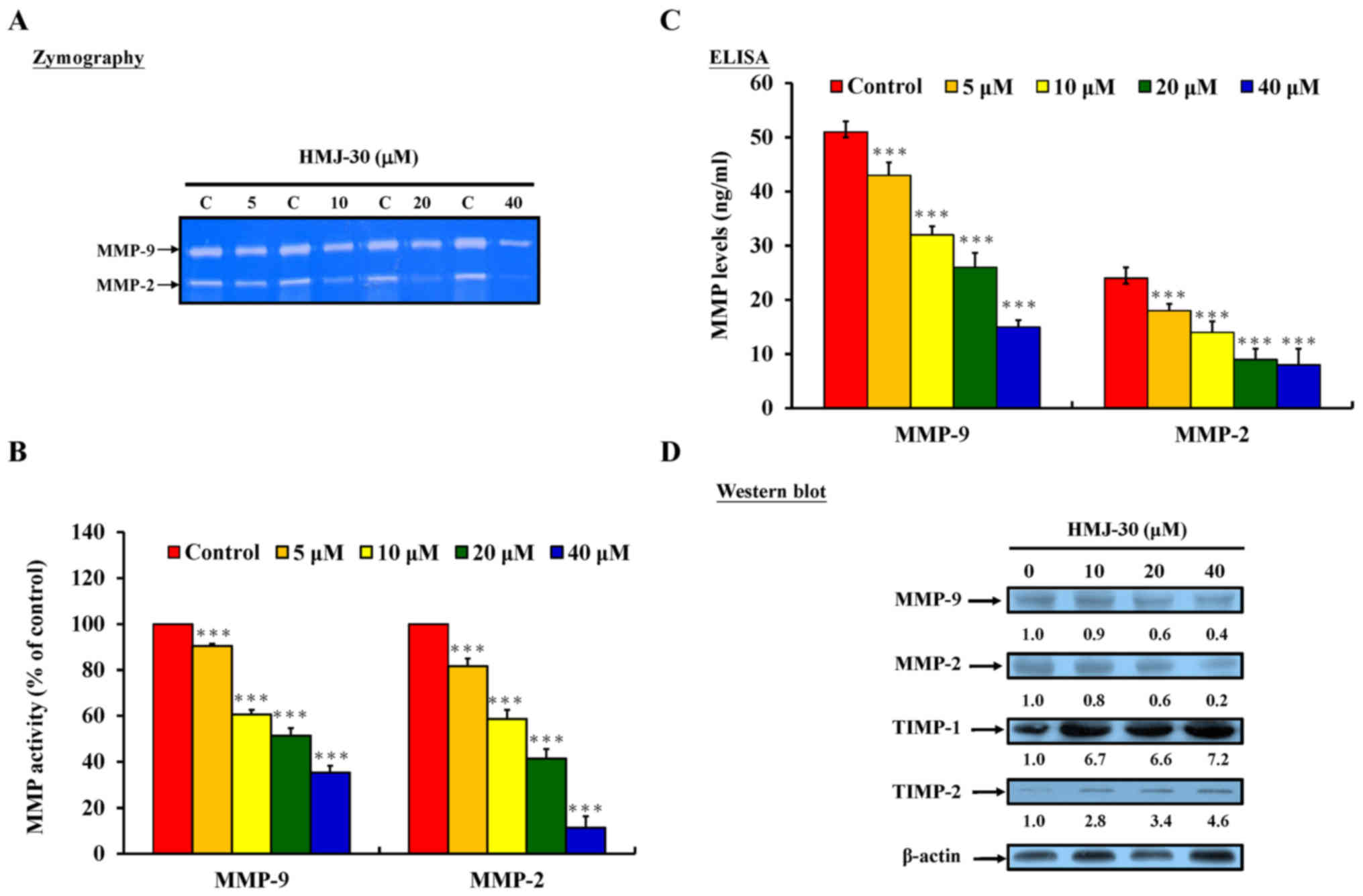 Disruption Of Igf 1r Signaling By A Novel Quinazoline Derivative Hmj 30 Inhibits Invasiveness And Reverses Epithelial Mesenchymal Transition In Osteosarcoma U 2 Os Cells