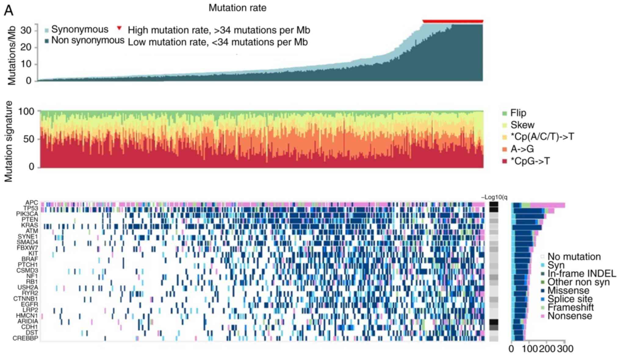 High Expression Of Immune Checkpoints Is Associated With The Til Load Mutation Rate And Patient Survival In Colorectal Cancer