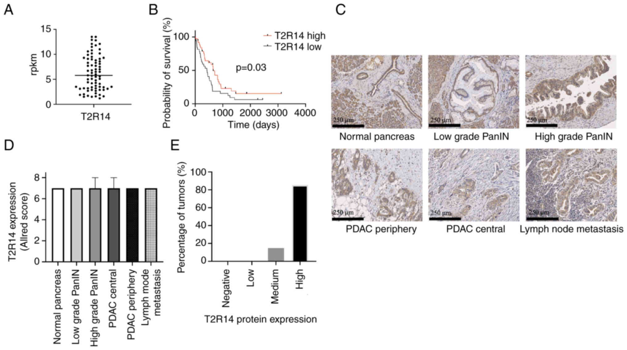 Figures and data in Bitter taste receptors confer diverse