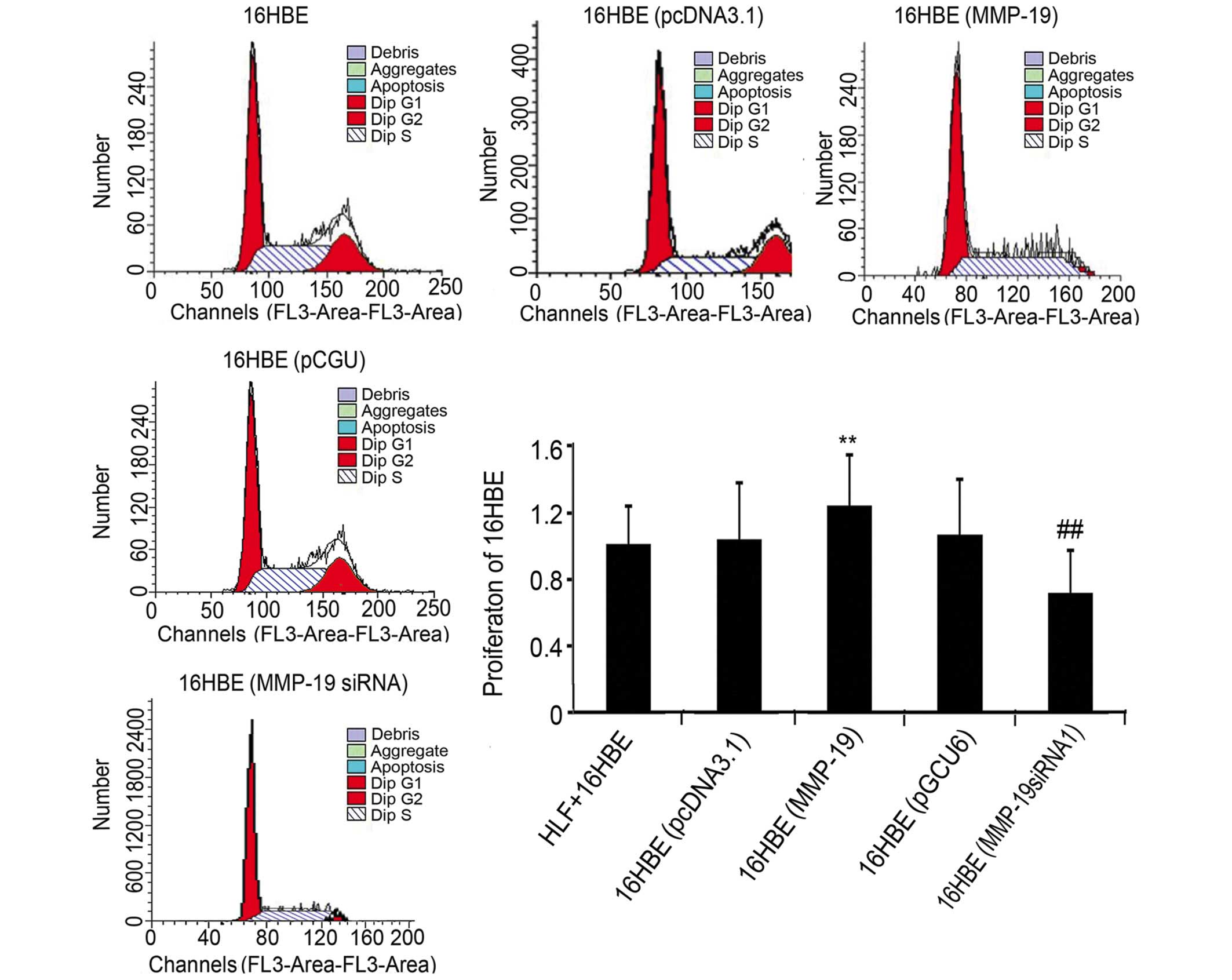 Downregulation of matrix metalloproteinase‑19 induced by respiratory ...