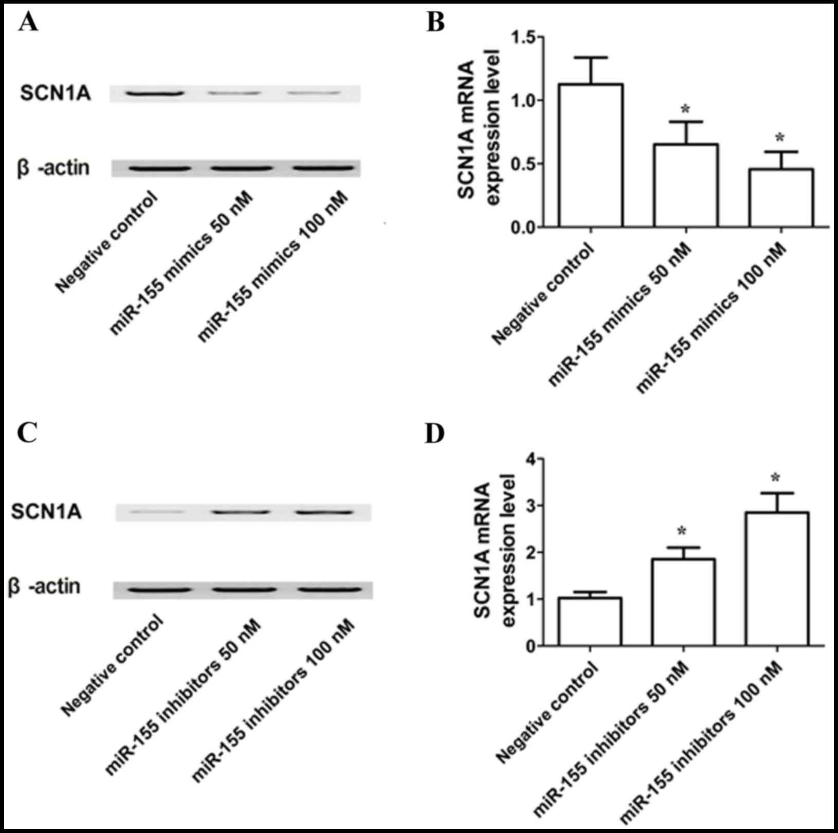 Downregulation Of Microrna‑155 By Preoperative Administration Of