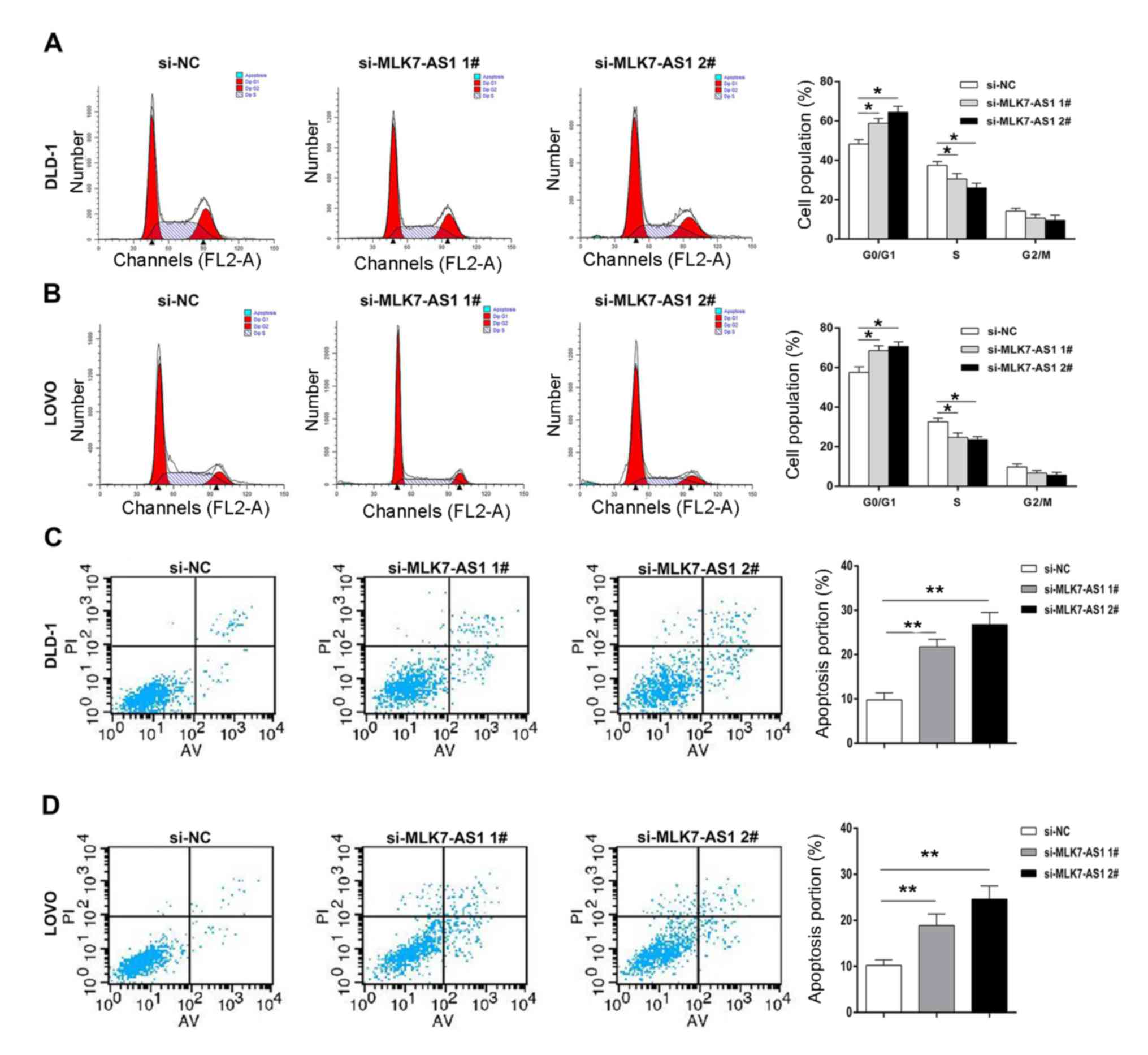 PDF) MBNL1‑AS1 attenuates tumor cell proliferation by regulating the miR‑29c‑3p/BVES  signal in colorectal cancer