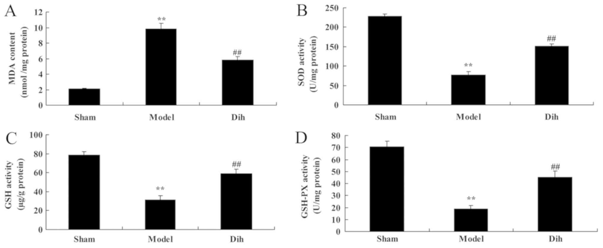 Protective Effect Of Dihydromyricetin Revents Fatty Liver Through Nuclear Factor Kb P53 B Cell Lymphoma 2 Associated X Protein Signaling Pathways In A Rat Model