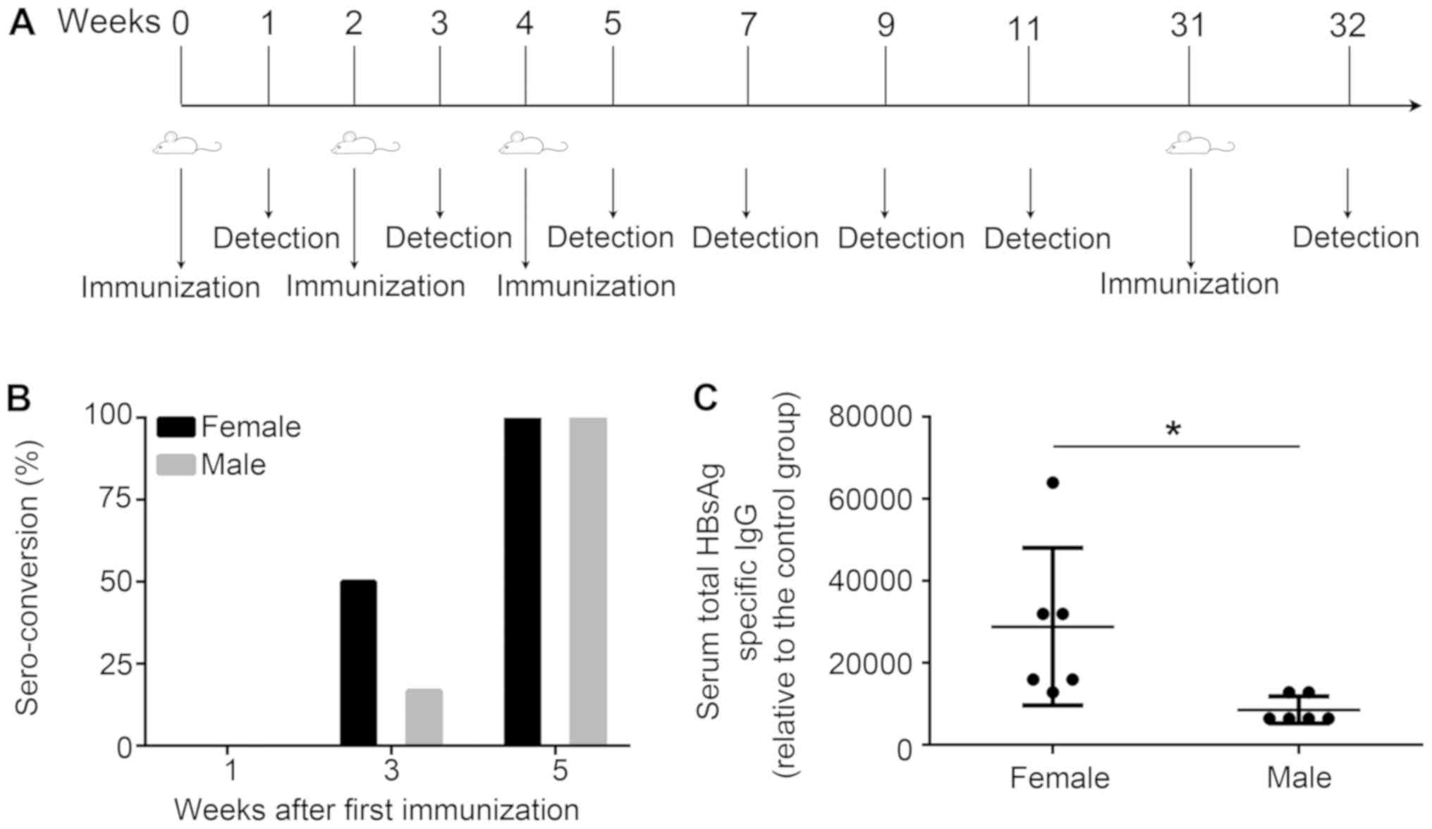 Contribution Of Sex‑based Immunological Differences To The Enhanced Immune Response In Female