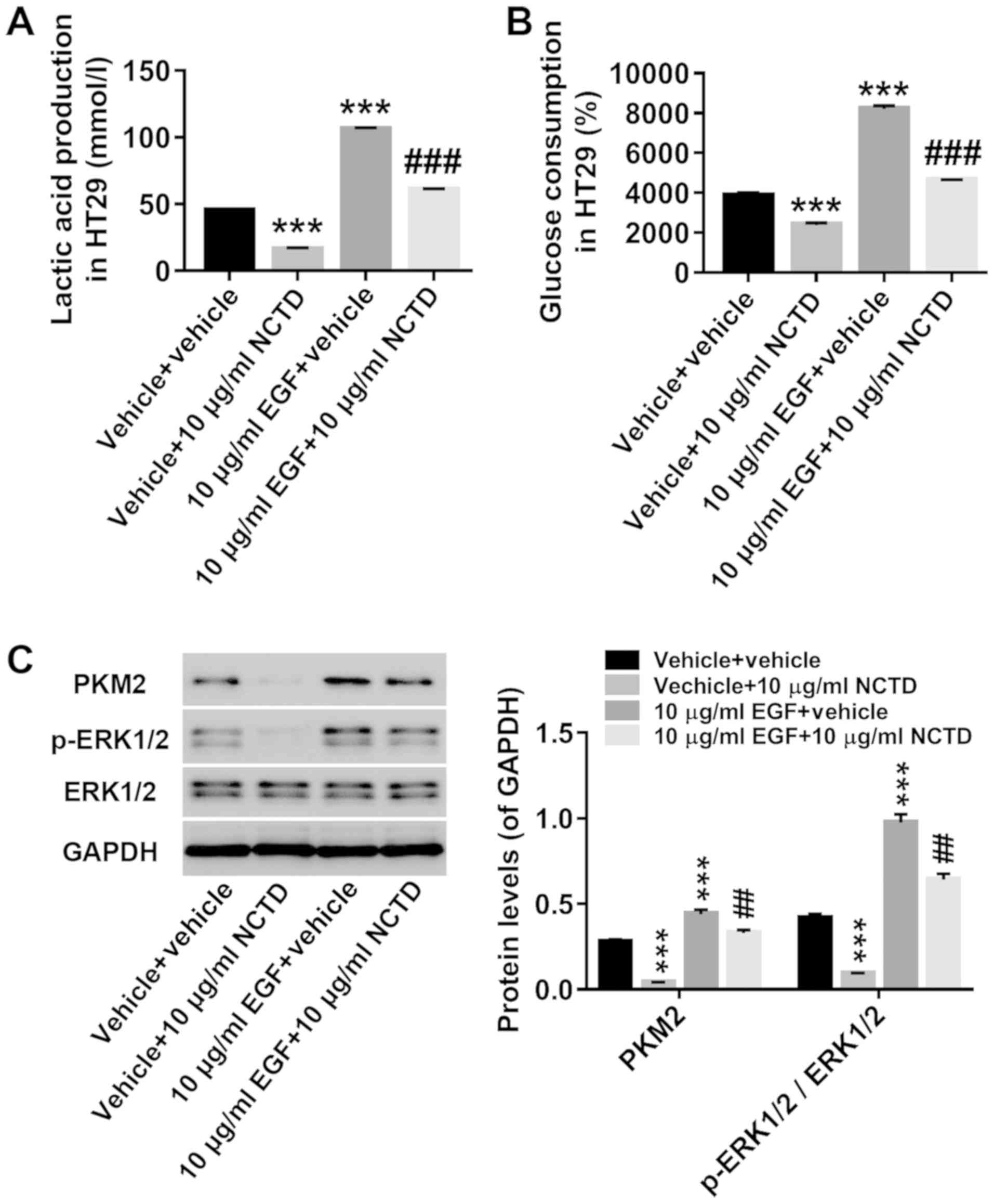 NCTD elicits proapoptotic and antiglycolytic effects on colorectal cancer  cells via modulation of Fam46c expression and inhibition of ERK1/2  signaling Retraction in /10.3892/mmr.2023.13078