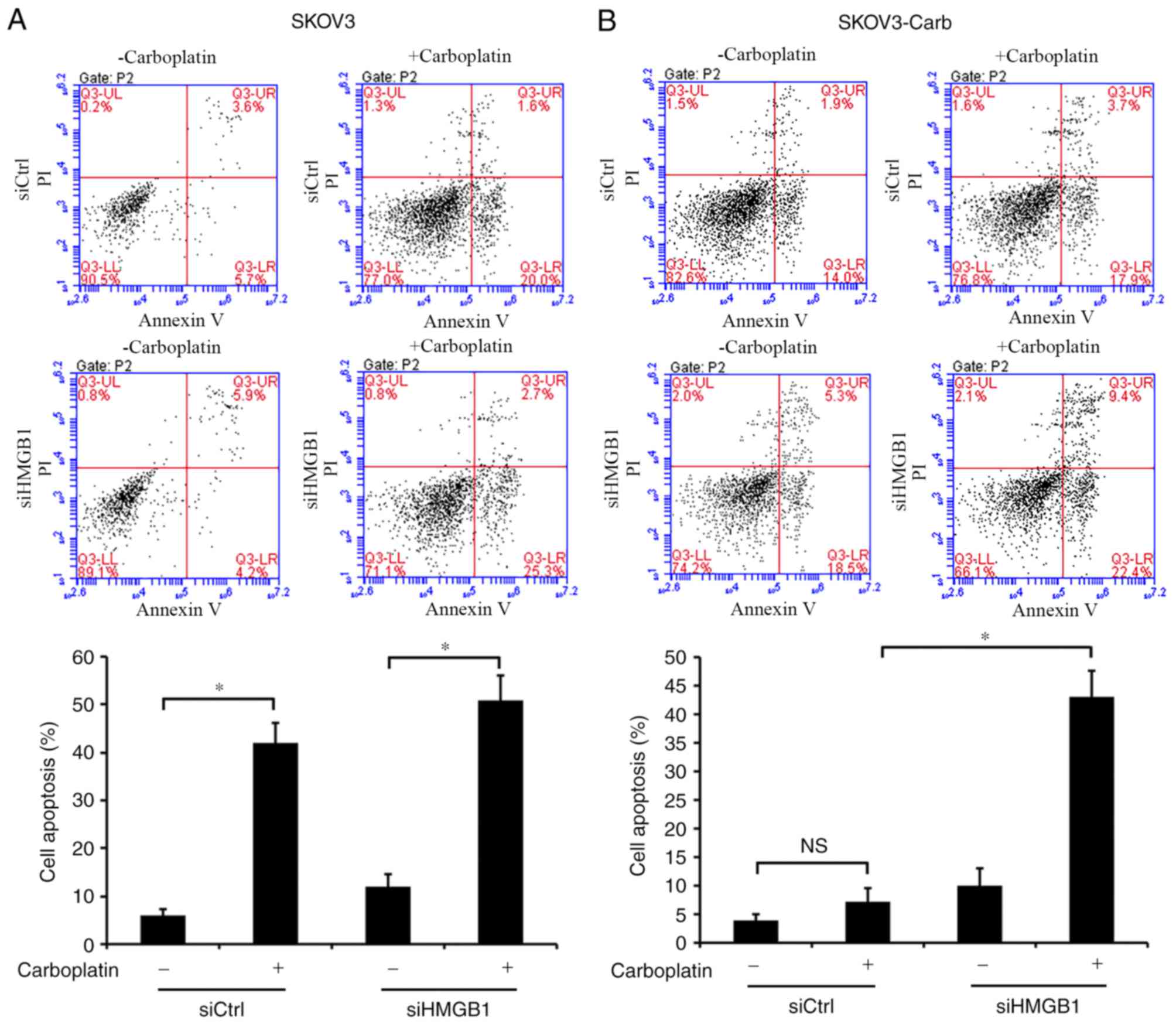 Downregulation of high mobility group protein box‑1 resensitizes ...