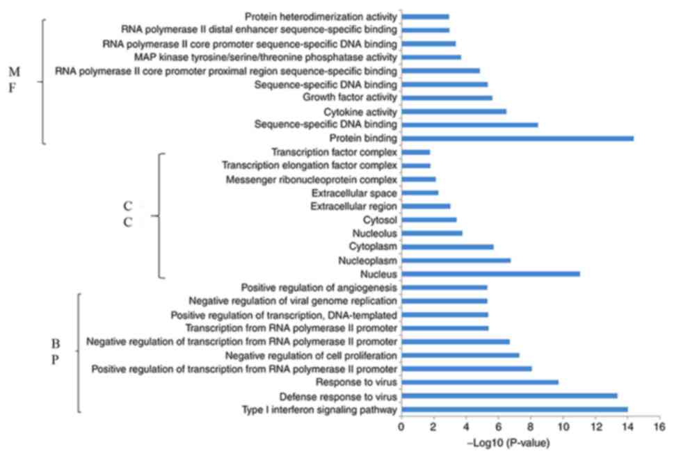 Overexpression of miR‑206 in osteosarcoma and its associated molecular ...