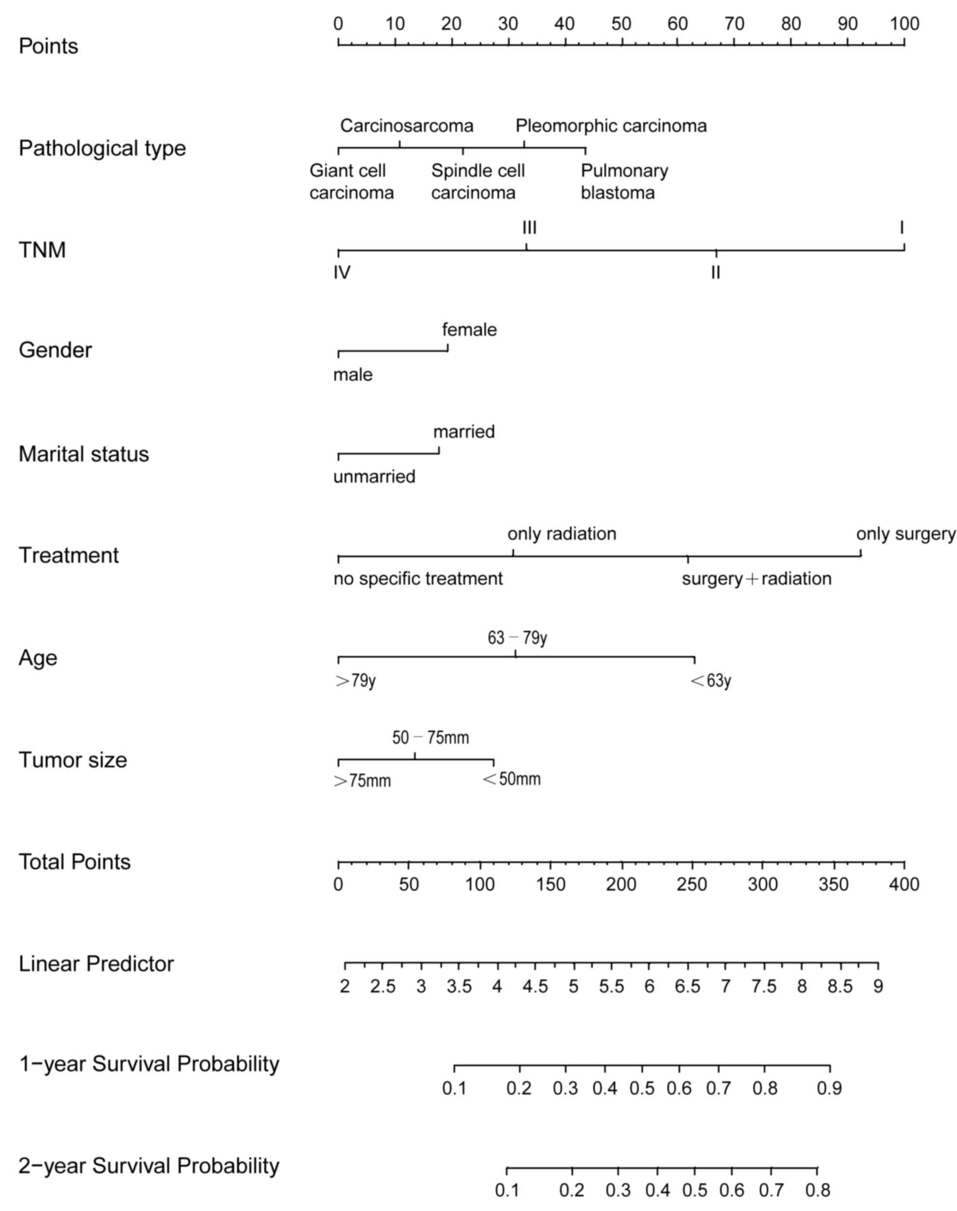 Clinical Pathological And Treatment Factors Associated With The Survival Of Patients With Pulmonary Sarcomatoid Carcinoma