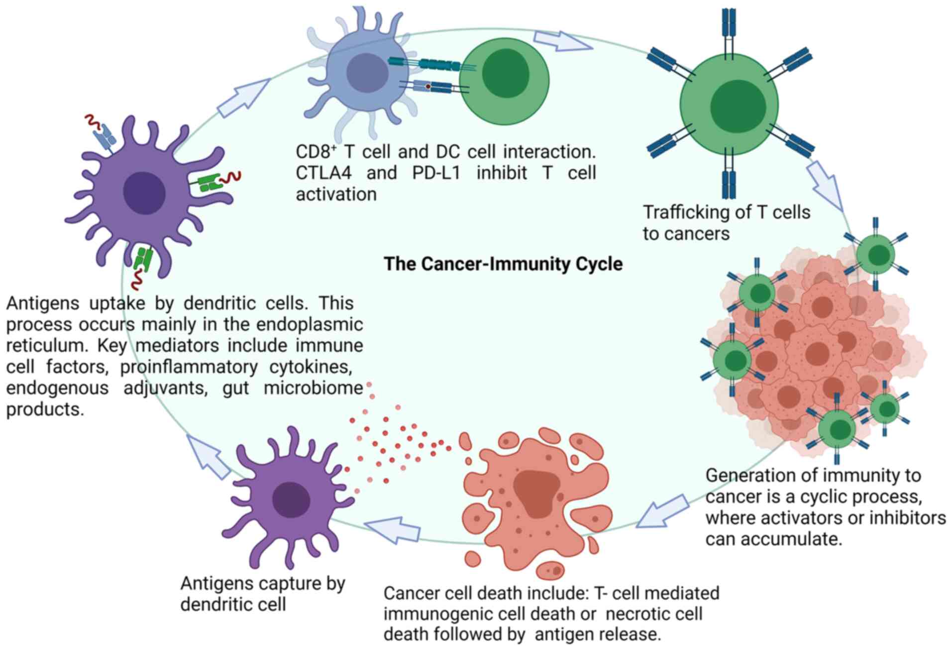 Neoantigens And Their Potential Applications In Tumor Immunotherapy