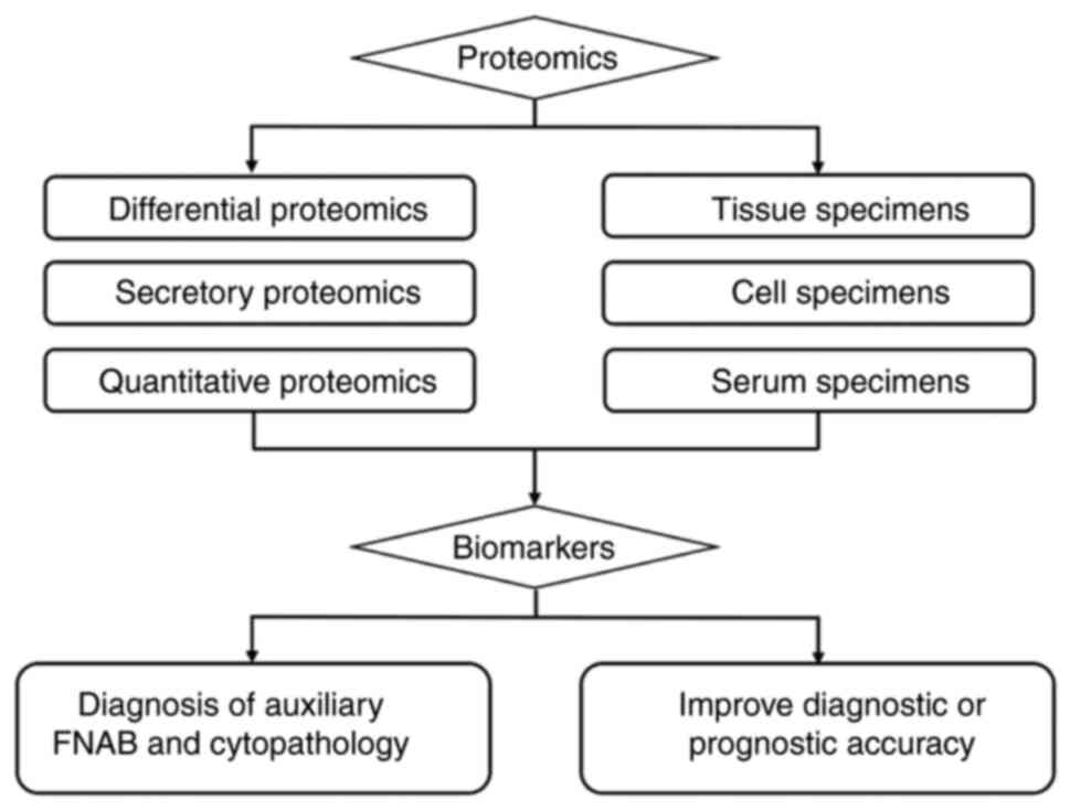 Breast Cancer Prognostic Biomarkers: Transcriptome & Proteome Analysis