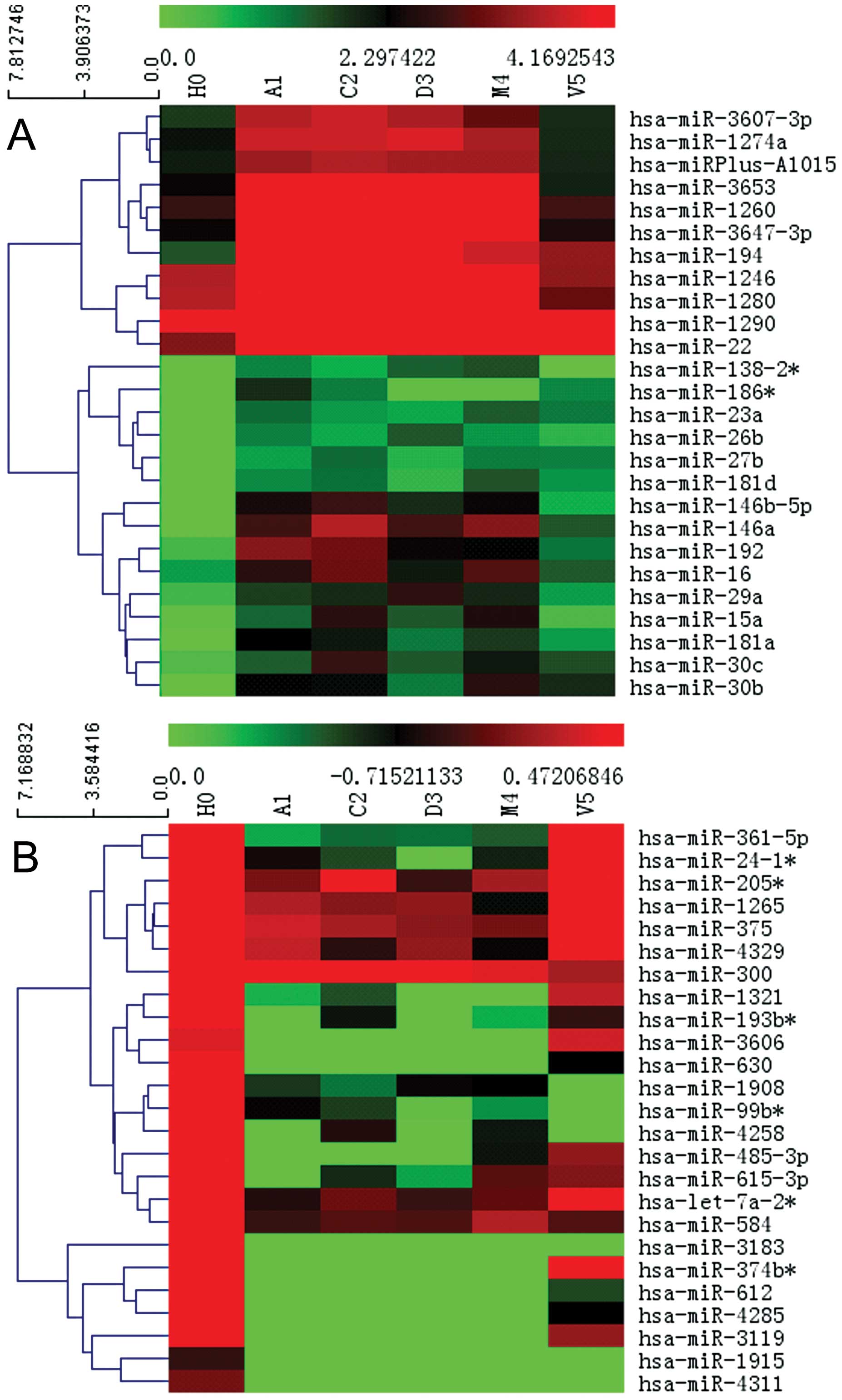 Differential Mirna Expression Profiles In Hepatocellular Carcinoma Cells And Drug Resistant Sublines