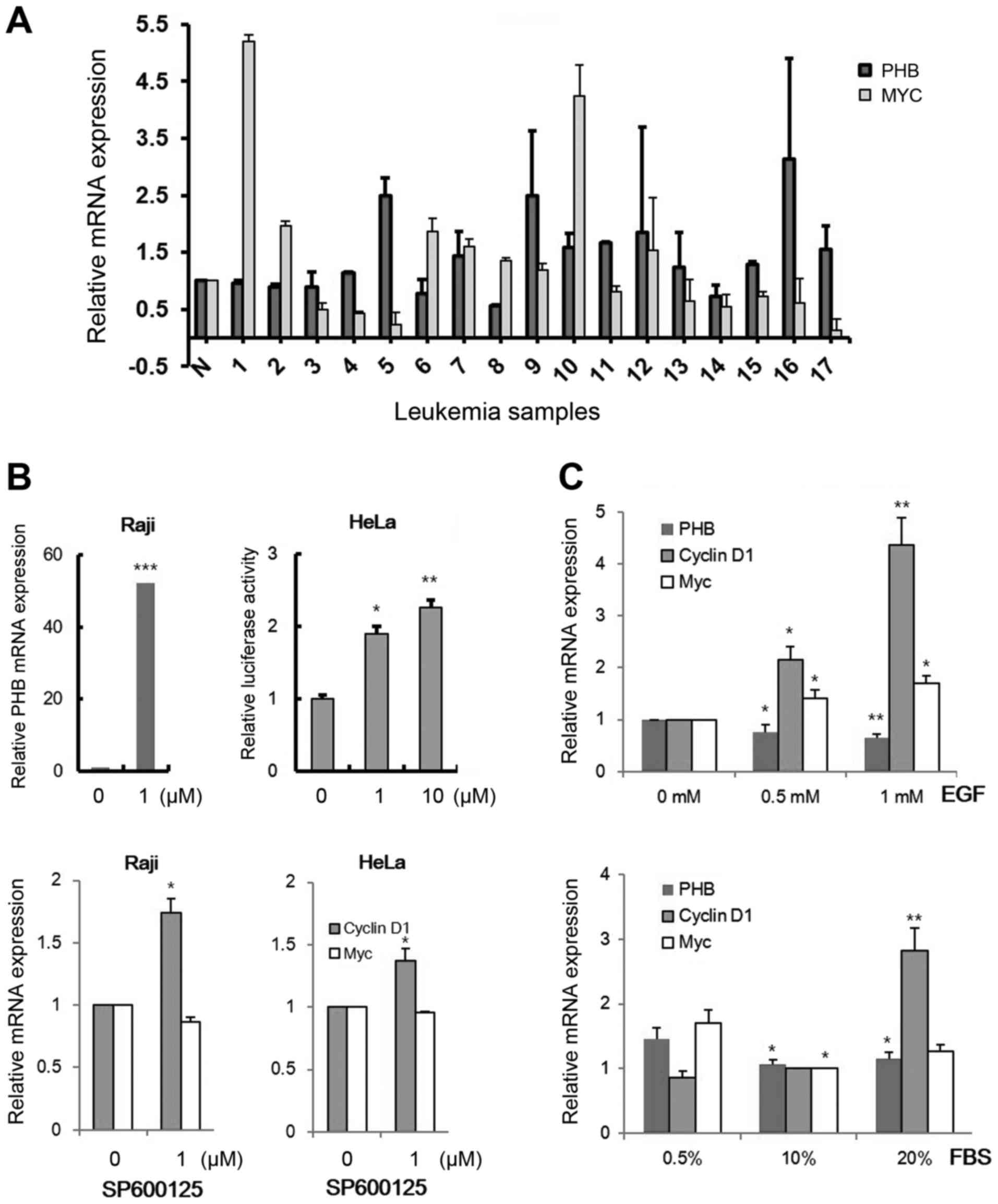 B Catenin Induces Expression Of Prohibitin Gene In Acute Leukemic Cells