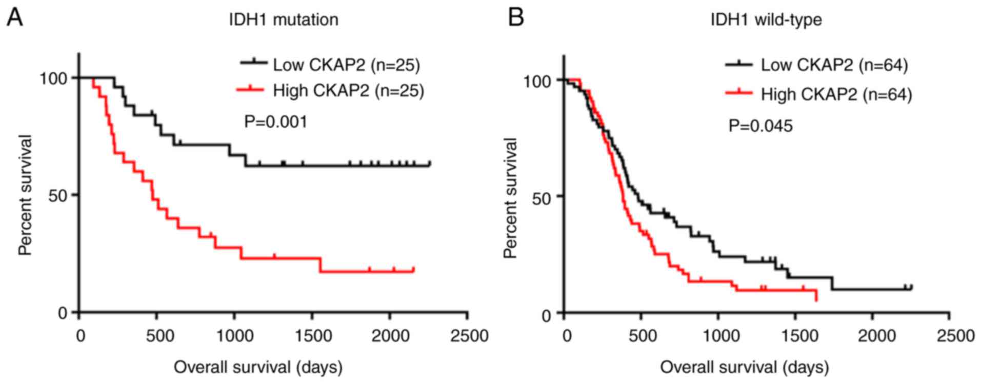 CKAP2 expression is associated with glioma tumor growth and acts as a ...